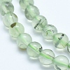 Natural Prehnite Beads Strands G-E483-07B-8mm-3