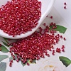 MIYUKI Delica Beads SEED-X0054-DB0162-1