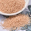 MIYUKI Delica Beads X-SEED-J020-DB2351-1
