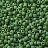 TOHO Round Seed Beads SEED-JPTR11-0407F-2
