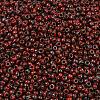MIYUKI Round Rocailles Beads SEED-G008-RR4513-2