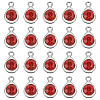 20Pcs Faceted Glass Charms RGLA-TADJ0001-01C-2