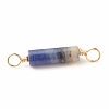 Natural Sodalite Connector Charms PALLOY-JF01454-03-5