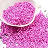 Opaque Colours Glass Seed Beads SEED-A033-06G-1