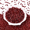 Silver Lined Glass Seed Beads SEED-T007-18A-14-2