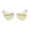 Tibetan Style Alloy Pendants X-TIBEP-5408-AS-FF-1