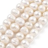 Natural Cultured Freshwater Pearl Beads Strands PEAR-C003-15F-1