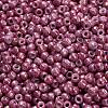 TOHO 6/0 Round Beads SEED-TR06-1202-4