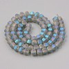 Frosted Plated Glass Beads Strands EGLA-S194-07-2