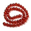 Natural Carnelian Beads Strands G-E571A02-02-3