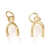 Brass Charms KK-K250-03G-2