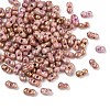 Picasso Glass Seed Beads SEED-Q038-02D-1