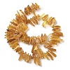 Natural Amber Beads Strands G-L095-D01-05-3
