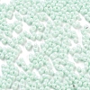 Baking Paint Glass Seed Beads SEED-A033-05R-3