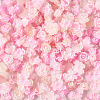 200Pcs Flower & Butterfly Resin Cabochons CRES-TA0001-89F-4