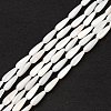 Natural Freshwater Shell Beads Strands SHEL-M018-09-1