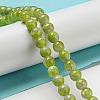 Dyed Natural Jade Beads Strands G-F764-01A-2