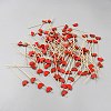 Disposable Bamboo Sticks AJEW-WH20018-43B-1