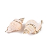 Natural Conch Shell Big Pendants SSHEL-N038-23-2