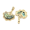 Natural Paua Shell Pendants KK-S386-17G-03-2