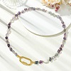 Women's Fluorite Necklaces NJEW-JN06639-1