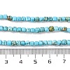 Natural Howlite Beads Strands G-H025-04B-5