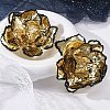Alloy & Iron Stud Earrings LS-EJEW-M075-05G-5