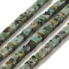 Natural African Turquoise(Jasper) Beads Strands G-N342-83-1