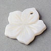 Sea Shell Pendants SSHEL-Q296-15-2