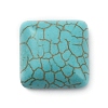 Synthetic Turquoise Cabochons TURQ-WH0001-03H-2
