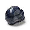 Halloween Natural Sodalite Display Decorations DJEW-K015-31-3