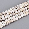 AB Color Natural Freshwater Shell Beads Strands BSHE-T014-40D-1