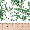 MIYUKI Round Rocailles Beads X-SEED-G008-RR0431-4