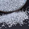 MIYUKI Delica Beads SEED-J020-DB0677-1