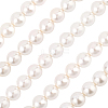 1 Strand AB Color Plated Shell Pearl Round Beads Strands BSHE-LT0001-01-1