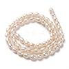 Grade AAA Natural Cultured Freshwater Pearl Beads Strands PEAR-L033-67-3