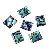 Natural Paua Shell Rectangle Cabochons SSHEL-T017-11-1