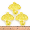 Transparent Acrylic Pendants TACR-T024-01B-916-4