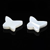 Natural Trochid Shell/Trochus Shell Beads SSHEL-N034-115-3