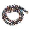 Natural Howlite Beads Strands G-Q017-C03-03-3
