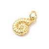 Brass Charms KK-Z135-14D-G-2