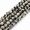 Natural Dalmatian Jasper Bead Strands G-R345-4mm-51-01-1