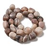 Natural Zebra Jasper Beads Strands G-A247-03-4