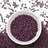 TOHO 8/0 Round Beads SEED-TR08-1076-2