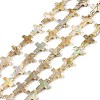 Drawbench Style Natural Freshwater Shell Beads Strands X1-BSHE-G036-01-1