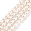 Natural Cultured Freshwater Pearl Beads Strands PEAR-P062-03B-1