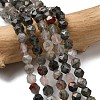 Natural African Bloodstone Beads Strands G-Z119-A28-01-1
