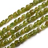 Natural Peridot Beads Strands G-D0002-B31-1