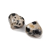 Natural Dalmatian Jasper Beads GG-CBA4A3B-C34-02-2