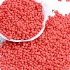 Baking Paint Glass Seed Beads X1-SEED-K010-A08-1